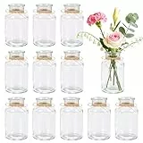 BTSD-home 12 Stück Set Blumenvase, kleine Vasen für Tischdeko 250ml glasvasen ideal für Hochzeitsdeko, Party Deko, Tischdeko