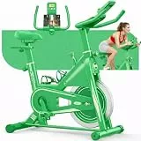 [2026 Aktualisiert] Heimtrainer Fahrrad, DMASUN Leiser Ergometer Hometrainer Fahrrad mit 0-100% Widerstand, Display& Tablet-Halterung, Kardio Training Indoor Cycling Bike mit bequemem Sitz, Bis 160KG