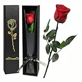 Jisrcha Infinity Rose in Geschenkbox, Weihnachten Geschenke für Frauen, Unendliche Rose mit Stiel, Künstliche Rosen Rot für Mama Ehefrau Freundin, Eternal Rose Geburtstagsgeschenk Jahrestag, Muttertag