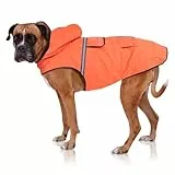 Bella & Balu Hunderegenmantel wasserdicht mit Kapuze und Reflektoren für sichere Gassigänge, Hundespielplatz und Urlaub (L, Orange)