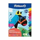 Pelikan Fotokarton Block 23 x 33 cm, 10 Blatt sortiert
