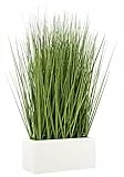 Flair Flower Gras in Schale aus Keramik Grünpflanze Kunstpflanze Kunstgras Dekogras Grasbusch Kräuter Ziergras Solitärgras Dekopflanze Pflanze Gründeko Raumbegrünung, 021139GN, 45x23x13 cm