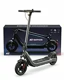LAELIN E Scooter mit Straßenzulassung ABE, Elektroroller 500W Motor, 10 Zoll Gel Reifen, 35-45 km Reichweite, Vorderradfederung, Doppelbremse & TCS, IPX4 (Max. 35 km Reichweite,R350)