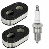 2 Stück Luftfilter Rasenmäher mit 1 Stück Zündkerze für Briggs & Stratton Motoren 593260 798339 798452, Rasenmäher Filter Zündkerzen Ersatzteile, Rasenmäherfilter Ersetzt 5432 5432K