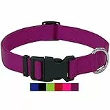 DEY - Premium Hundehalsband Nylon | Verstellbar | für Kleine u. Große Hunde | viele Farben u. Größen | Hund Katze Welpe | Hunde-Halsbänder | Katzen-Halsband | Welpen-Halsband | Lila, S