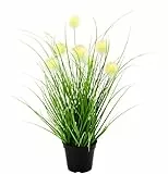 Knopfgras im Topf Kunst-Gras Künstliches Kugelgras Kunstgras Ziergras Kunstpflanzen Dekogras Grasbüschel Deko Grasarrangement Borstenhirse Panicoideae Süßgräser Setaria
