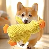 Speedy Panther Hundespielzeug aus Plüsch für kleine Hunde, Enten-Quietsch-Hundespielzeug, weiches Welpenspielzeug für kleine bis mittelgroße Hunde - 25 cm