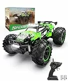 Carox Ferngesteuertes Auto,2.4 GHz 26 km/h RC Auto,1:18 Off Road Monstertruck mit Scheinwerfer und Fahrgestellbeleuchtung Crawler Truck Spielzeug