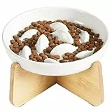PETTOM Anti Schling Napf Katze Erhöht, Keramik Antischlingnapf Katze, Slow Feeder Katzen Nassfutter, Antischlingnapf für Katzen und Kleine Hunde