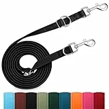 PETCOOZ Hundeleine 3 m Verstellbare Schleppleine mit 2 Karabiner, Verdickte Doppelleine Führleine für Kleine Mittelgroße Hunde, Freihandleinen Übungsleine aus Nylon, Schwarz