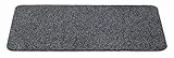Carpet Diem Standard Fußmatte waschbar aus 80% Baumwolle, saugfähige Schmutzfangmatte in Anthrazit Grau 50x80cm