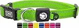 DDOXX Reflektierendes Nylon Hundehalsband - Stabiles und Verstellbares Welpenhalsband für alle Größen - L (Grün)