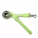 Max & Molly Klassische Hundeleine, 1,2 m, stark, gepolstert, wasserdicht, stilvolle Muster für Jungen und Mädchen, langlebig, leicht, bequem für kleine Hunde, Kiwi, Größe S