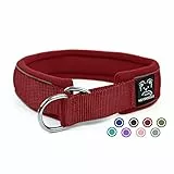 Weich Neopren Gepolstert Hundehalsband (4cm Breite) Reflektierend Hund Halsband mit Robust Nylon & Zugstopp, Bequem Zughalsband Dressurhalsband Kleine Mittlere Große Hunde Anti-Zug Walken S Wein
