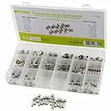 SeKi Glassicherung 160 Teile Feinsicherung 5x20 Sortiment 160-teilig 16 Typen Flink + 8X Träge 0,8A, 1,25A, 1,6A, 2A, 2,5A, 3,15A, 4A und 6,3A Sicherung, Box