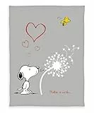 Wild South Shop Peanuts Flanell Flauschdecke Snoopy XL Kuscheldecke 150 x 200 cm, super Soft, Sofadecke