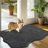 Biscpro Fußmatte Innen Weicher 60 x 90 cm, rutschfeste Waschbar Türmatte, Schmutzfangmatte Sauberlaufmatte,Eingangstürmatte,Fussmatte für Hund, Eingang, Haustür,Flur