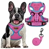 FAYOGOO Hundegeschirr, Kein Choke Front Clip Hund Reflektierendes Geschirr, No-Pull Verstellbare Weiche Gepolsterte Haustier Weste Set für kleine Mittlere Große Hunde Gehen (Rosa, XL)