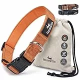 FREUDENTIER Hundehalsband - weich gepolstert mit Neopren, reflektierend & robust - Halsband Hund für kleine, mittelgroße & große Hunde (Sunset Orange, 40-65CM)