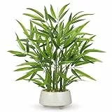 Arborus Bambus Pflanze Künstlich im Topf aus Keramik 50 cm Kunstpflanzen Grünpflanze Bambuspflanze Zimmerpflanze Bambusbaum Tischdeko Modern Deko Asiatische Wohnzimmer Schlafzimmer Esszimmer Küche