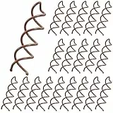 Molain 20 Stück Spirale Haarspange, Spiral Haarnadeln Haar Clip Haar Accessoires Rotierende Diy Haarnadeln Haarspangen für Haarstyling Geeignet Für Verschiedene Frisuren