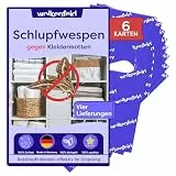 Wolkenfeld Schlupfwespen gegen Kleidermotten – 6 Karte à 4 Lieferungen – Effektive Bekämpfung von Kleider-Motten – Natürliche Alternative zu Mottenfallen, Mottenspray & Pheromonfallen