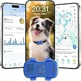 GPS-Haustier-Tracker – 4G-GPS-Hunde-Tracker | Echtzeit-Standortbestimmung & Geofencing-Benachrichtigungen | Wasserdicht (IP67) | Klein & leicht für Hunde & Katzen, Abonnement erforderlich
