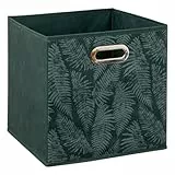5five aufbewahrung-box 31 x 31 Herbarium
