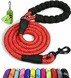Taglory Hundeleine mit bequemen gepolsterten Griff, robuste Hundeleine zum Trainieren und Gassi gehen, 150×1.2cm Reflektierend Führleine aus weichem Nylon für große Hunde, rot