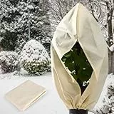 ITEFDTUTNE Pflanzenschutz Winter, 250 x 360cm Frostschutz Pflanzenabdeckungen, Winterschutz für Pflanzen, Uberwinterungszelt für Pflanzen mit Reißverschluss und Zugband für Olivenbaum, Palmen