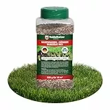 Veddelholzer 3 in 1 Rasensamen NPK Dünger Substrat Mix 500 g Rasen Reparatur Mix zur Nachsaat schnellkeimend für einen dichten strapazierfähigen grünen Rasen nie mehr kahle Stellen