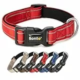 lionto Hundehalsband aus strapazierfähigem Nylon, Größe L, weiches gepolstertes Halsband für Hunde, 360° reflektierend & Klickverschluss, Metallring & Anpassung durch stufenlosen Schieber, rot
