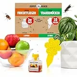 Super Ninja Fruchtfliegenfalle & Trauermücken Bekämpfen Kombi – 2 Obstfliegenfallen für Küche + 10 Gelbtafeln gegen Trauermücken, Nematodenfrei, Nicht-Toxisch, Bis zu 3 Monate Schutzg