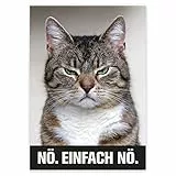 younikat Katzenposter Nö. Einfach nö. I Print Plakat in DIN A4 mit Katze und coolem Spruch I Statement lustig witzig modern I dv_625