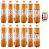 Italian Gourmet Bundle 12x Pfirsich Eistee 1,5L + Italian Gourmet Polpa – italienisches Teegetränk mit Pfirsichgeschmack, Erfrischungsgetränk für Familie, Party, Sommer & Vorrat, 18L