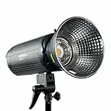 Walimex Pro Stager 600 HSS Studioblitz - leistungsstarker Studioblitz mit 2,4 GHz Empfänger, HSS-Modus, 600 Ws, Kurze Abbrennzeit, LED-Einstelllicht, für Profifotografen