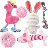 Speedy Panther 6-teiliges Hundespielzeug-Set für Kleine & Mittlere Hunde | Plüsch, Quietsch & Kauspielzeug mit Hundeseilen | Robust & Sicher für Welpen & Erwachsene Hunde (Zahnpflege, Indoor/Outdoor)