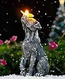 Yeomoo Hund Figuren mit Schmetterling Solar Deko für Außen: Lustige Hunde Gartendeko Hundebesitzer Geschenk für Frauen Männer Mama Geburtstagsgeschenk Wasserdicht Deko für Garten Balkon Zimmer