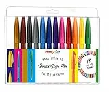 Pentel SES15-12 Brush Sign Pen, Faserschreiber, pinselähnliche Spitze, 12 Stück, farblich sortiert