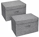 DIMJ 2 Stück Aufbewahrungsboxen mit Deckel, Faltbare Aufbewahrungskiste mit Griff, Aufbewahrungskorb Stoff, Ordnungsboxen Kleiderschrank Organizer, Faltbox für Kleidung, Dunkelgrau