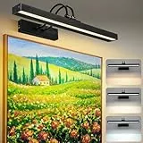 Lampop Bilderleuchte Kabellos 5000mAh Akku Wandleuchte Innen LED 40cm Bildbeleuchtung mit Fernbedienung Wandleuchte Ohne Stromanschluss mit Timing-Funktion 3 Farbtemperaturen für Dart Ziele Poster