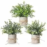 YVONNEYI 3 Stück Künstliche Pflanzen, Mini Kunstpflanze Eukalyptus, Künstliche Pflanzen Plastik für Schlafzimmer Badezimmer Küchen Zuhause Innen Deko