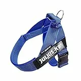 Julius-K9, IDC® Color & Gray® Beltgeschirr