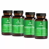Vitabay Vital Stack - Astaxanthin Ubiquinol Q10 R Alpha Liponsaeure Magnesium Malat - Bundle