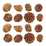 Amosfun 100 Stück Mini Tannenzapfen Deko 2X2X1Cm Künstliche Lärchenzapfen Für Weihnachtsdeko Basteln Kreative Fotografie Requisiten