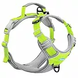 ThinkPet No-Pull-Hundegeschirr, atmungsaktiv, Sportgeschirr mit Griff, reflektierend, verstellbar, für mittelgroße und große Hunde, Größe S, Grün