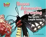 Queen Alexandra Birdwing: The World's Largest Butterfly (SuperSized!)