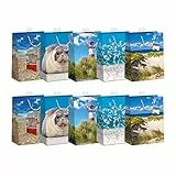 Geschenktaschen 10 Stück edle Geschenktüten Papier Tragetasche DIN A5 Geschenkbeutel mit farbiger Kordel und Namenskarte Skorpion Papeterie Größe: Medium 18x23x10cm