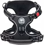 PoyPet Keine Pull Hundegeschirr Front Reflektierende Pet Weste für Hunde mit Einfache Kontrolle Griff und Rückseite perfekt für den täglichen Training, Walken, Running(Schwarz,M)