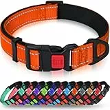 Taglory Hundehalsband, Weich Gepolstertes Neopren Nylon Hunde Halsband für Welpen, Verstellbare und Reflektierend für das Training, Orange